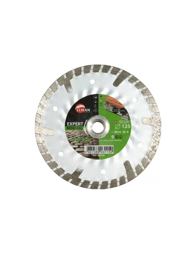 Disque diamant 125 mm minéral avec flasque