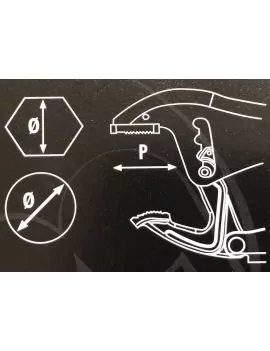 Pince étau à cremaillère