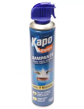 Insecticide aérosol contre rampants
