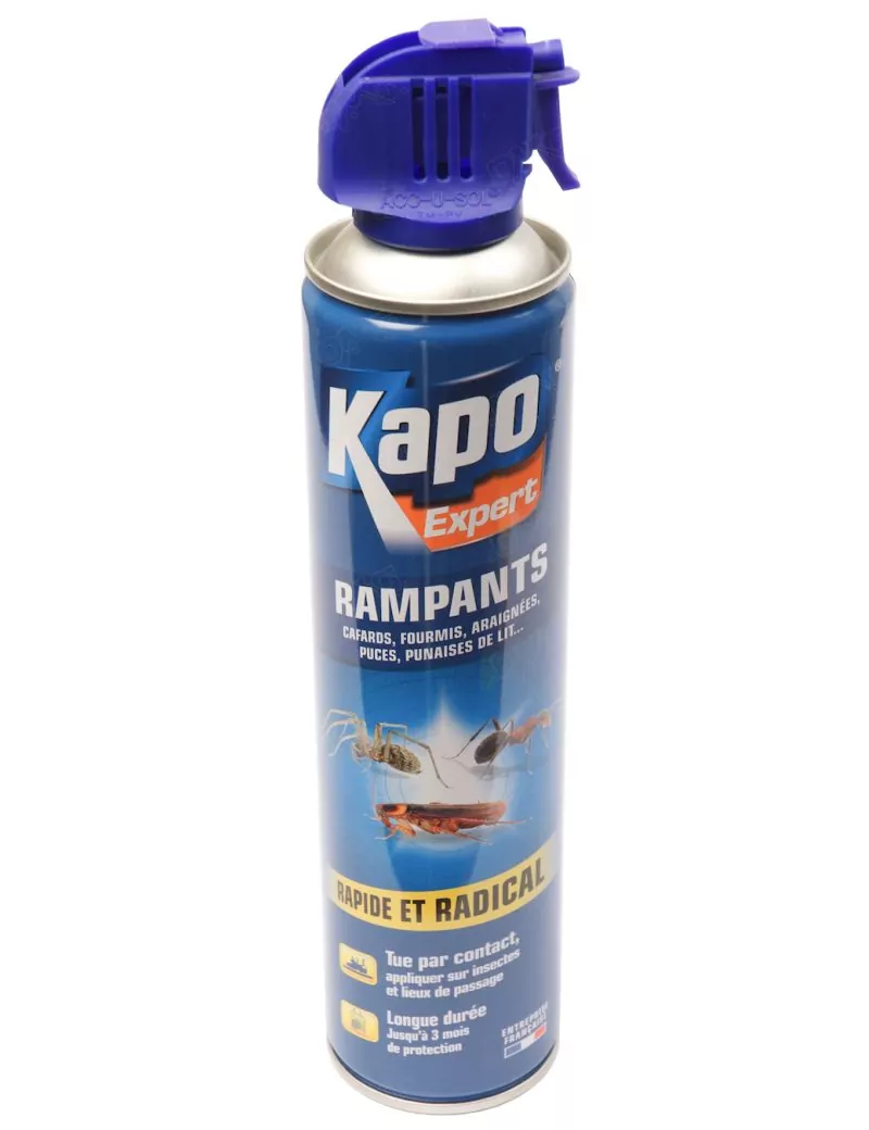 Insecticide aérosol contre rampants