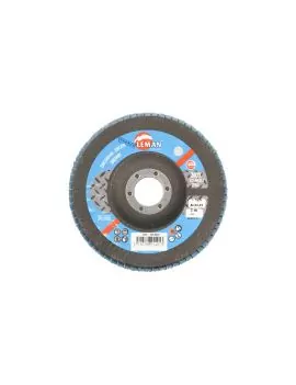 Disque à lamelles d.125 Zircon