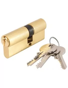 Cylindre F5S clé unique asymétrique