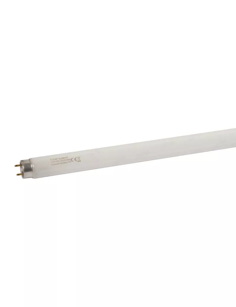 Tube néon fluorescent T8 26x1200mm