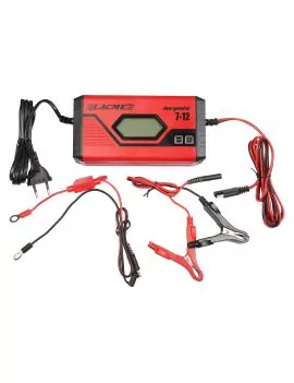 Chargeur de batteries automatique