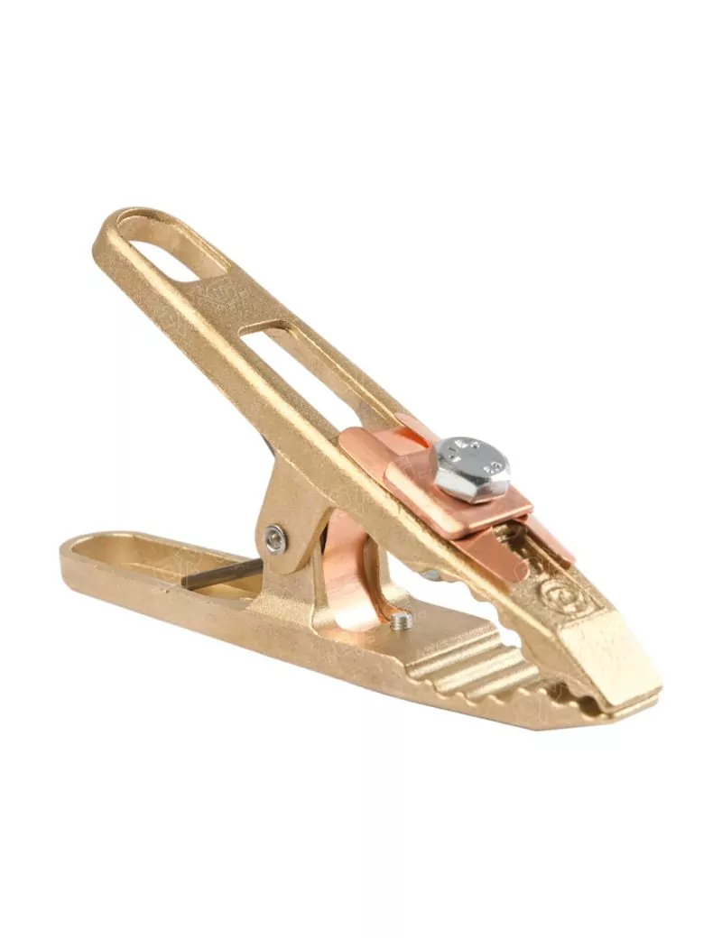Prise de masse bronze