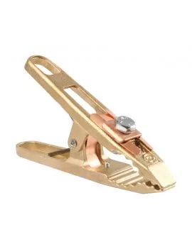 Prise de masse bronze