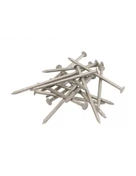 Pointes galva tête plate - boite de 5 kg