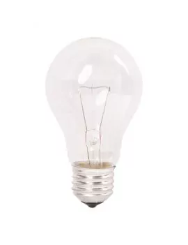 Ampoule 24V 060W E27 standard claire