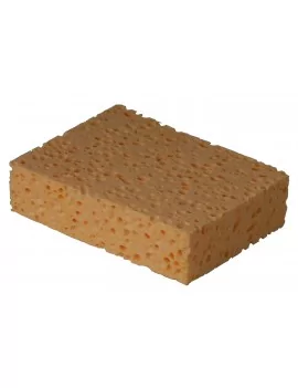 Éponge végétale standard N°8