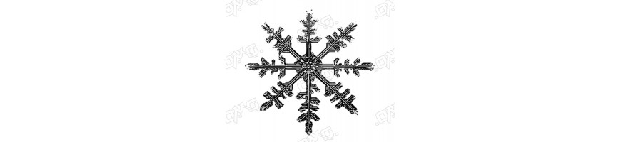 Ventes d'hiver