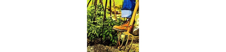 Outils forges jardin