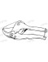 Coupe tube