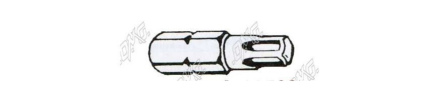 Embout torx