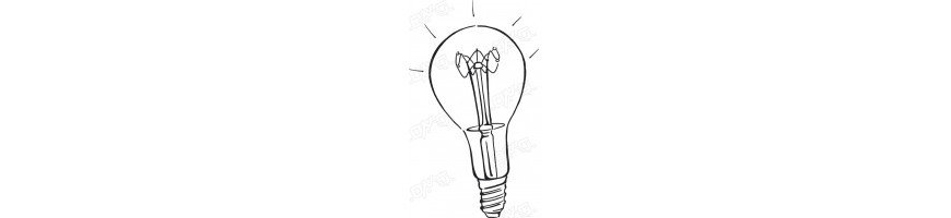 ampoule culot 
