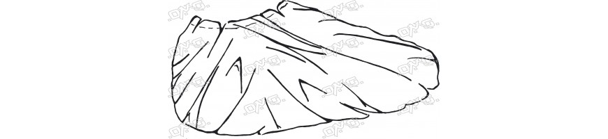 Surchaussure