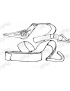Sangle arrimage avec crochets